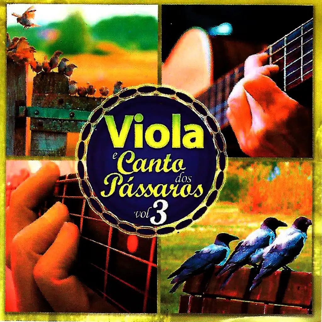 Viola e o Canto dos Pássaros, Vol. 3