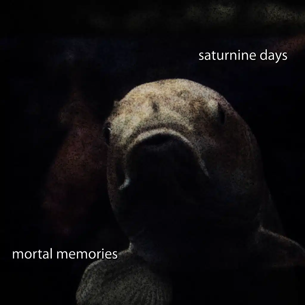 Saturnine Days