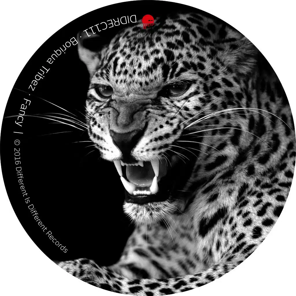 Fancy (Technolatino Swing)