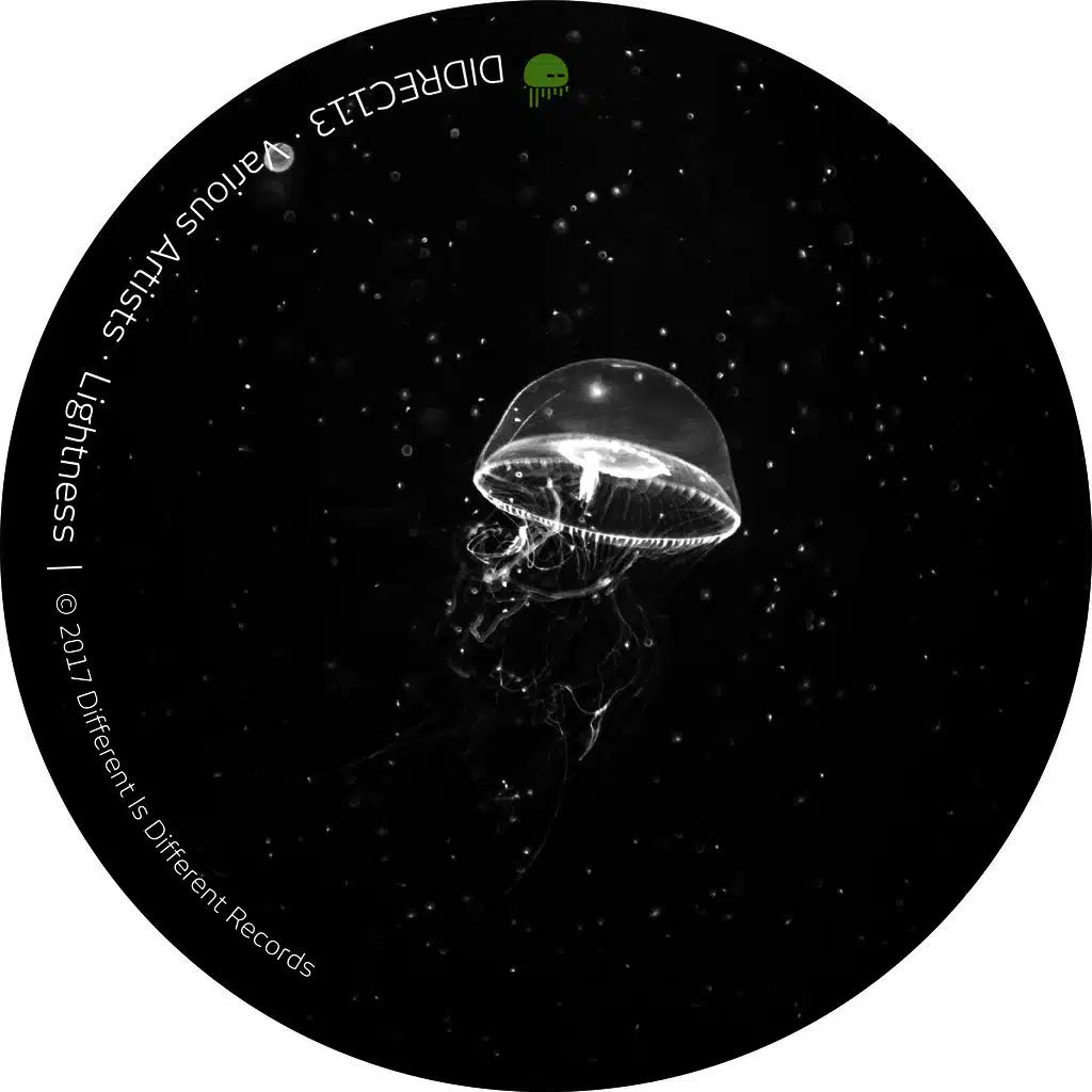 The Tool (Misoo's Spaced Out Remix)