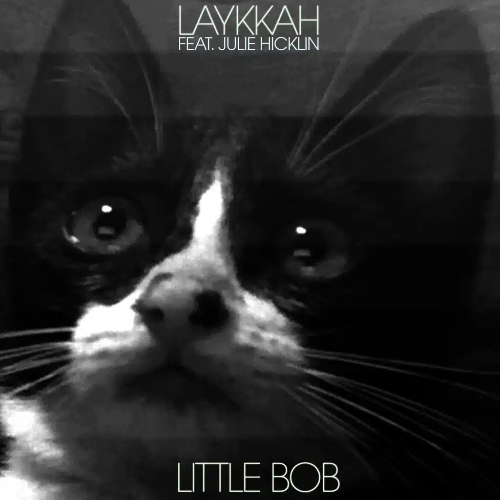 Little Bob