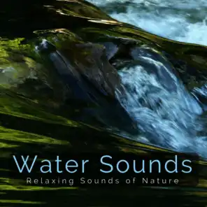 Relaxing Flowing Brook (feat. Water Soundscapes)