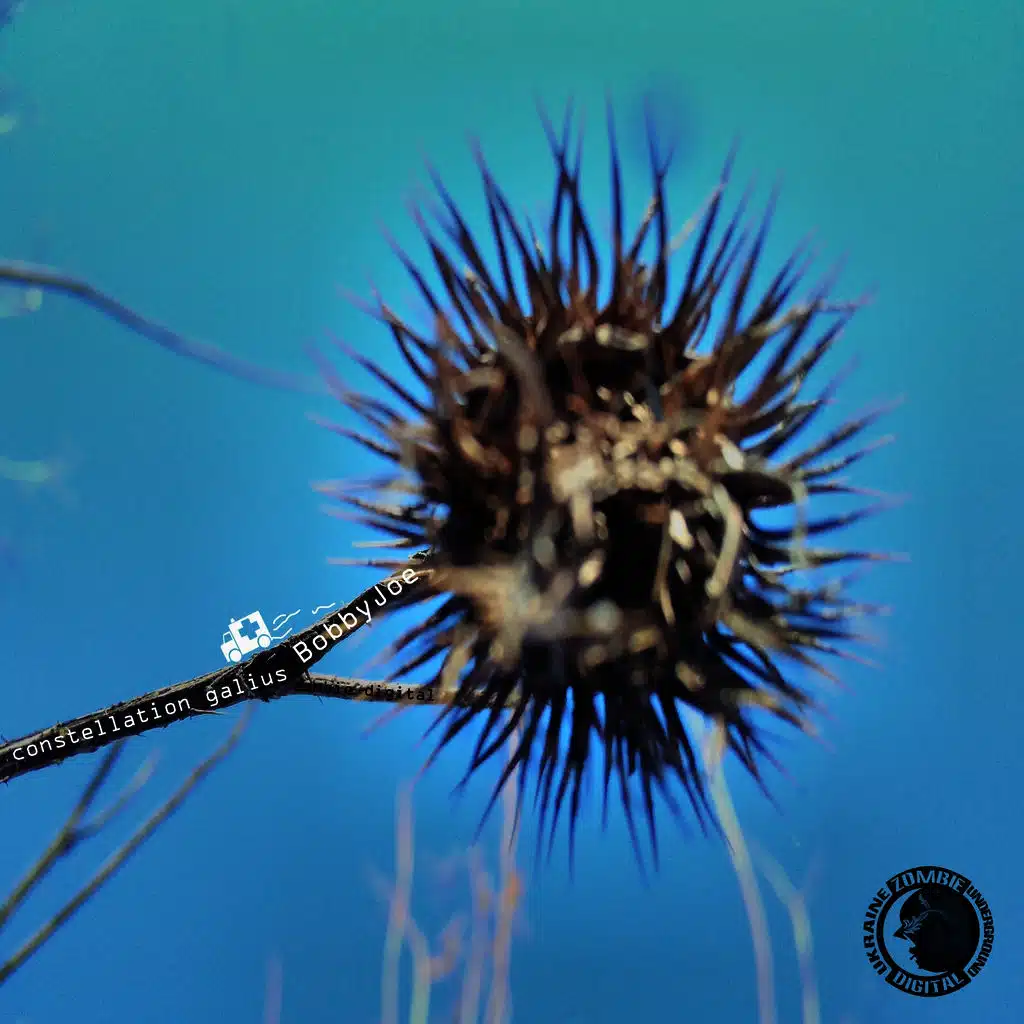 Constellation Galius