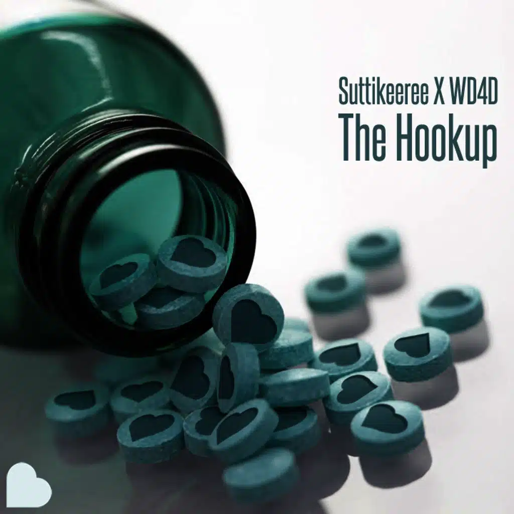 The Hookup / Run The Internetz