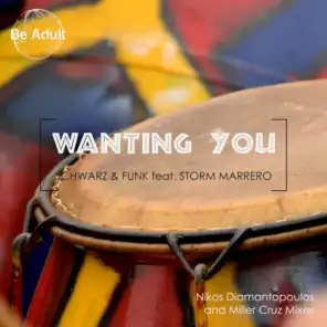 Wanting You (Radio Edit) [feat. Storm Marrero]