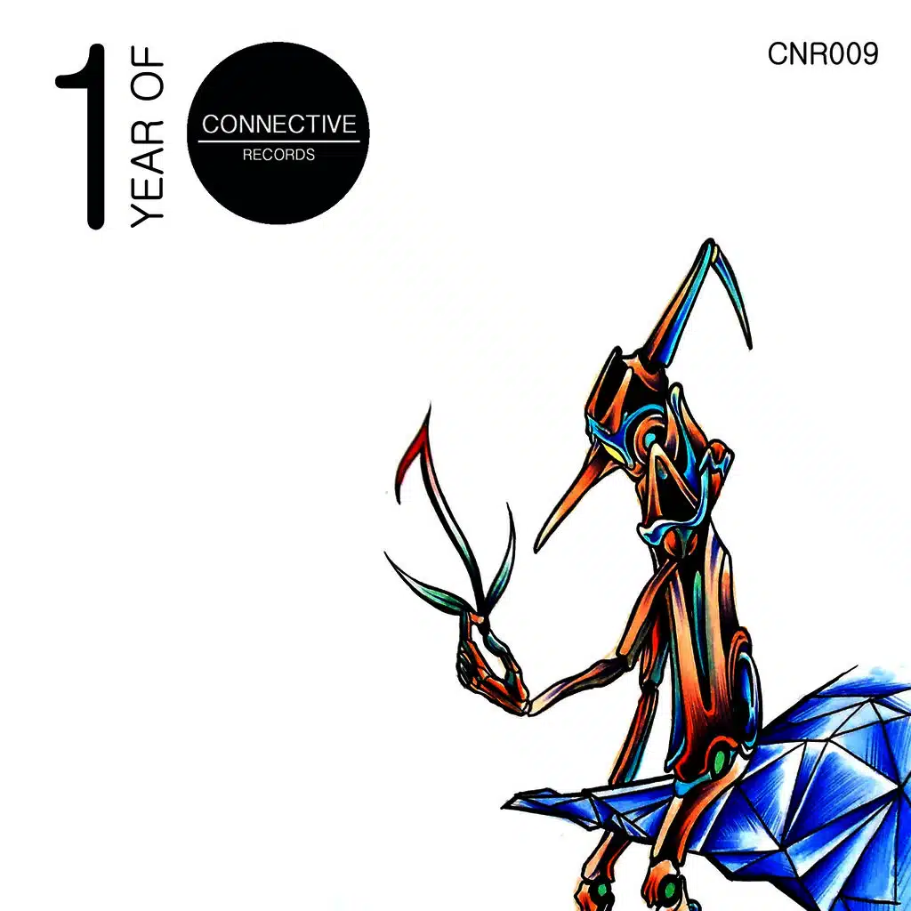 1 Year Of Connective Records