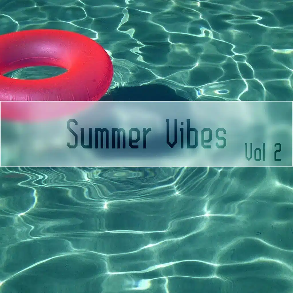 Summer Vibes,Vol.2