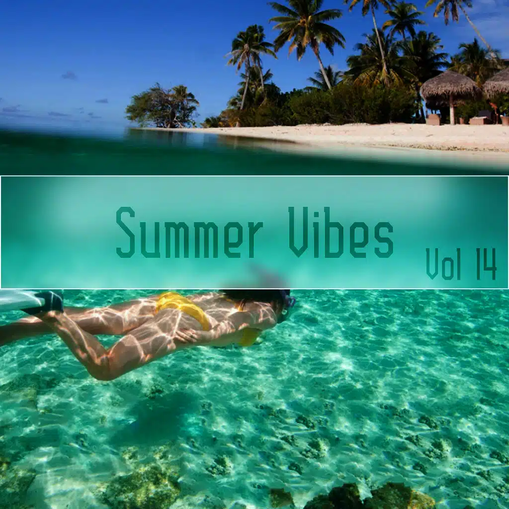 Summer Vibes,Vol.14