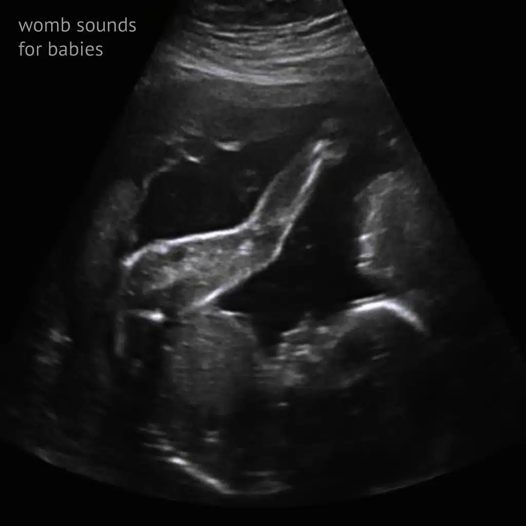 Womb Sounds For Babies