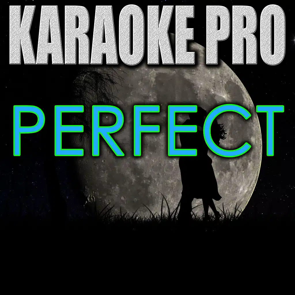 Perfect (Originally Performed by Ed Sheeran) (Instrumental Version)