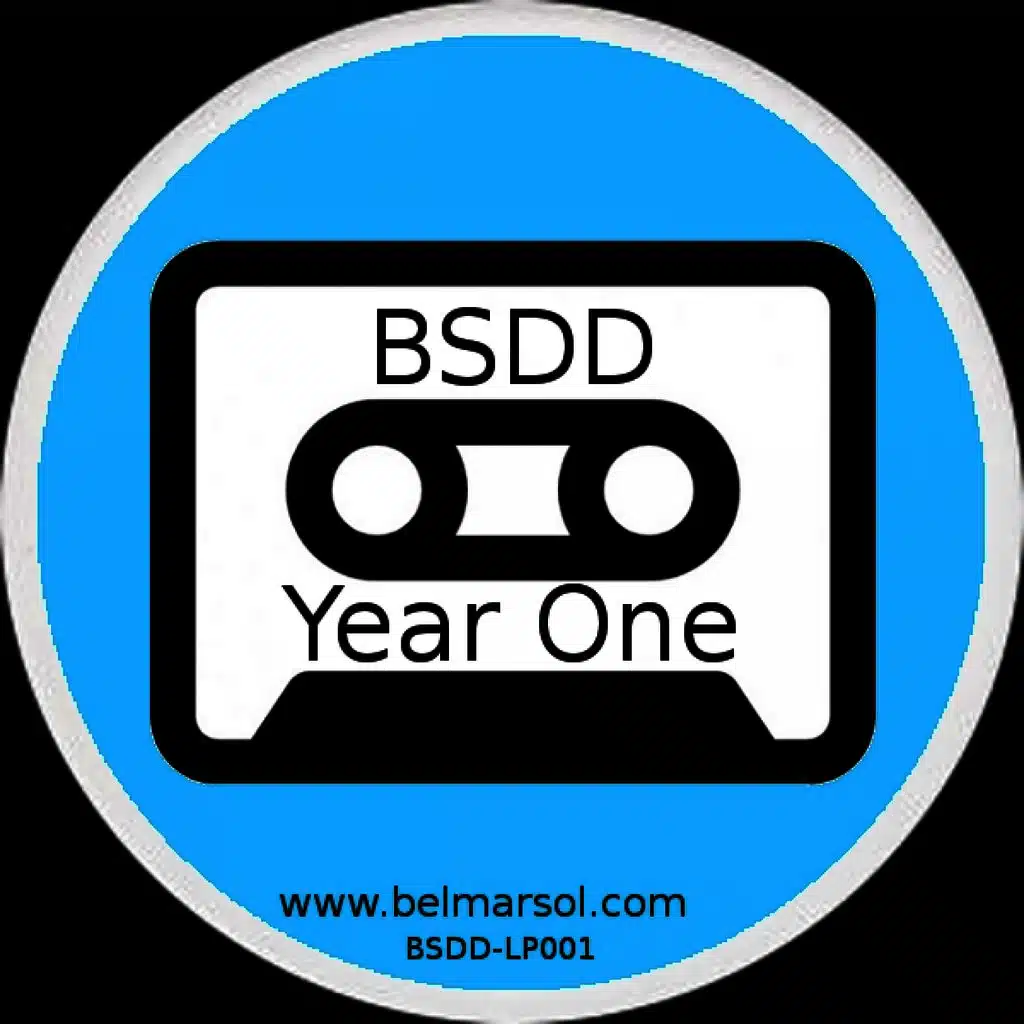 BSDD Year One