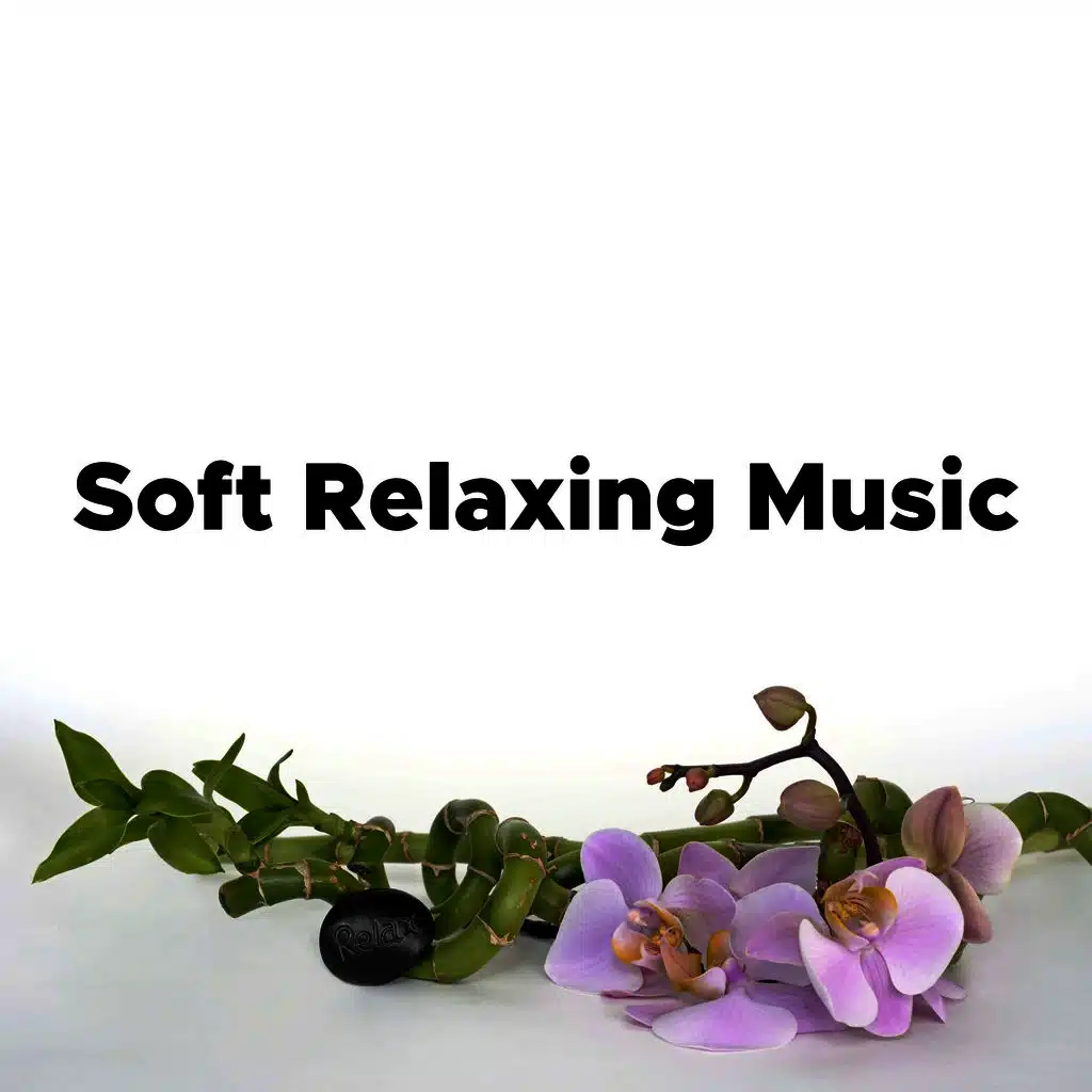 Soft Relaxing Music - Relaxation Music For Stress Relief And Healing Meditation