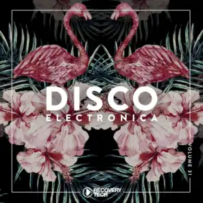 Disco Electronica, Vol. 31