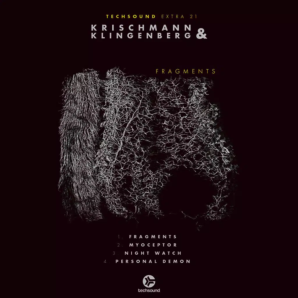 Techsound Extra 21: Fragments