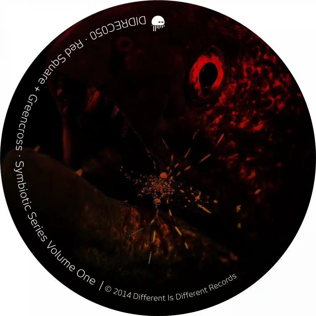 Dimensional (Red Square's 'Five Dimensions' Mix)