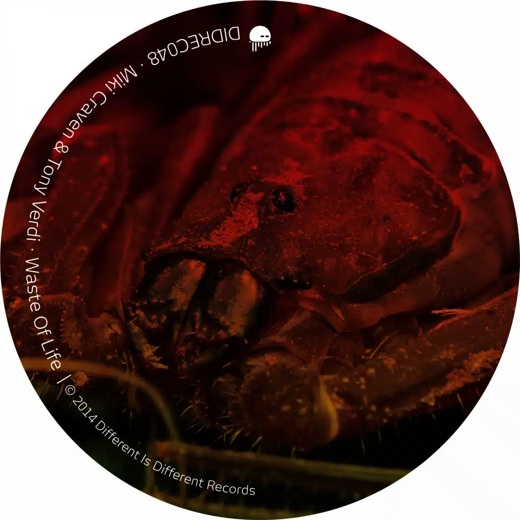 Miki Craven, Tony Verdi