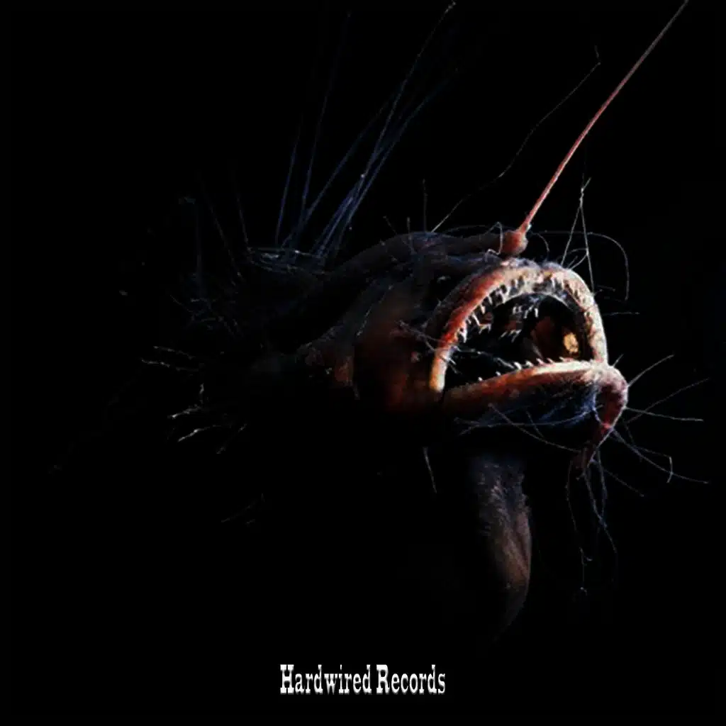 Joker (Moog Boy Remix)