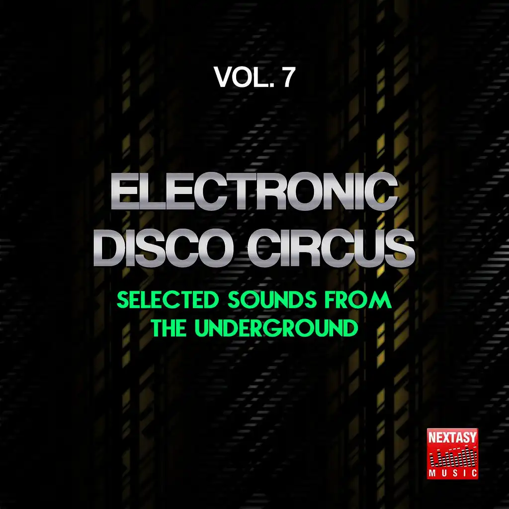 Electro Echo (DJ Chick Remix)