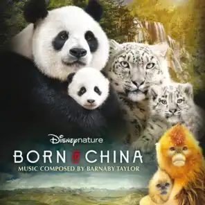 Born in China (Original Motion Picture Soundtrack)