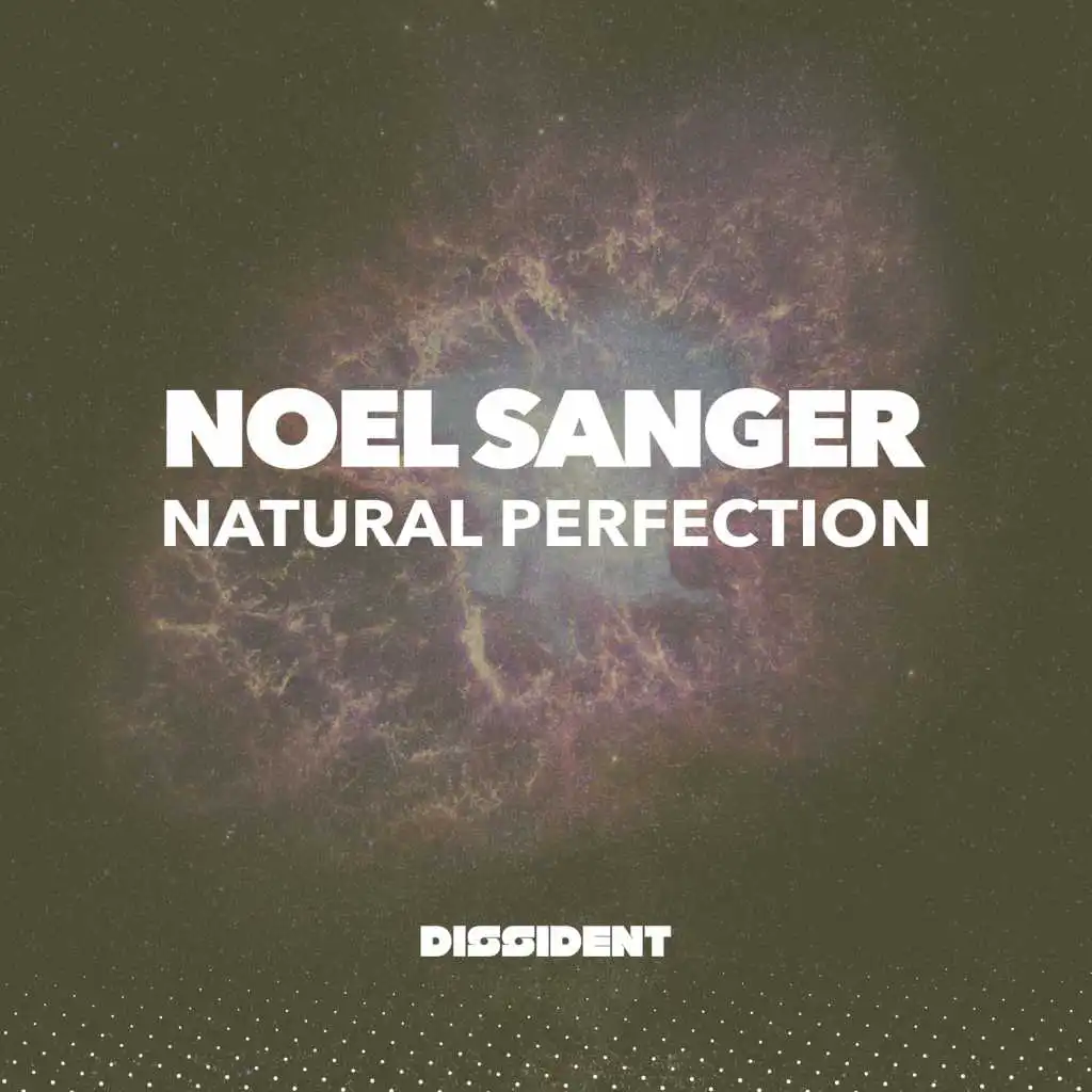 Natural Perfection (Noel's Dzogchen Dub)