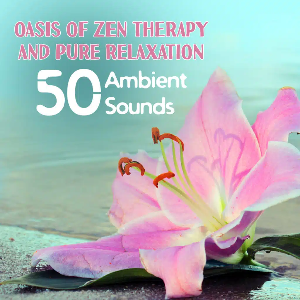 Oasis of Zen Therapy and Pure Relaxation: 50 Ambient Sounds of Nature