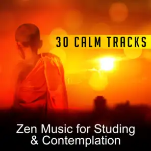 30 Calm Tracks: Zen Music for Studing & Contemplation – Bacground Music to Help You Focus, Better Concentration, Successful Brain Training & Improve Your Mind