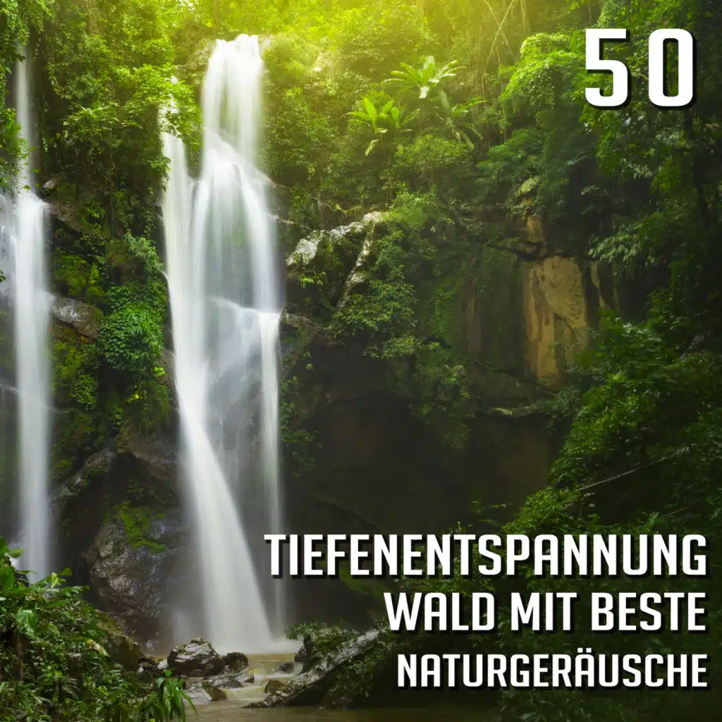 50 Tiefenentspannung mit Beste Naturgeräusche: Therapie Musik  für Gelassenheit, Heilung, Reiki, Spa, Massage, Yoga & Meditation