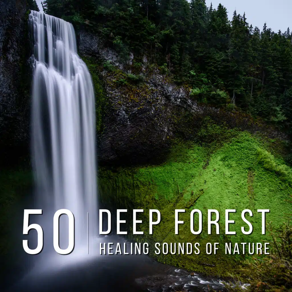 Deep Forest: 50 Healing Sounds of Nature for Zen Yoga Meditation, Mindful Solutions for Stress, Peaceful Background Music, Relaxation & Harmony