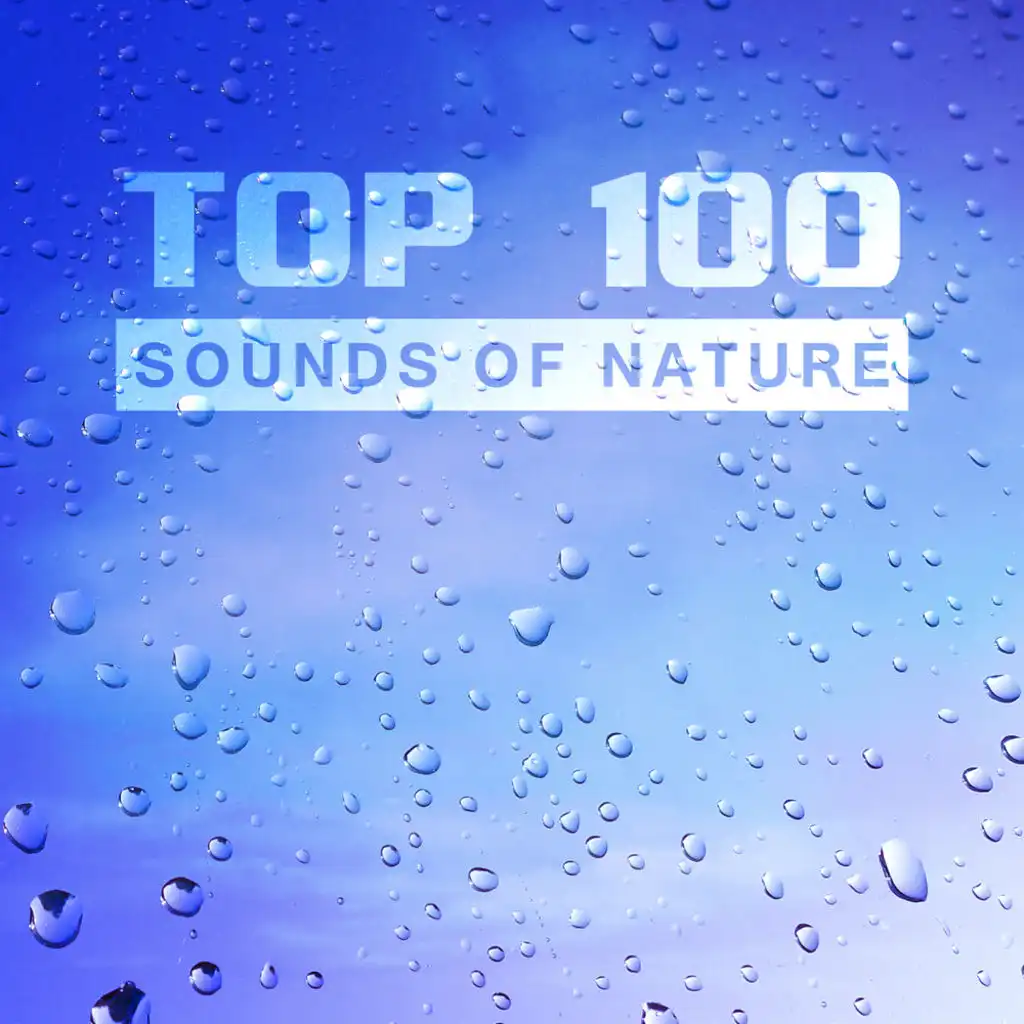 Sounds of Nature