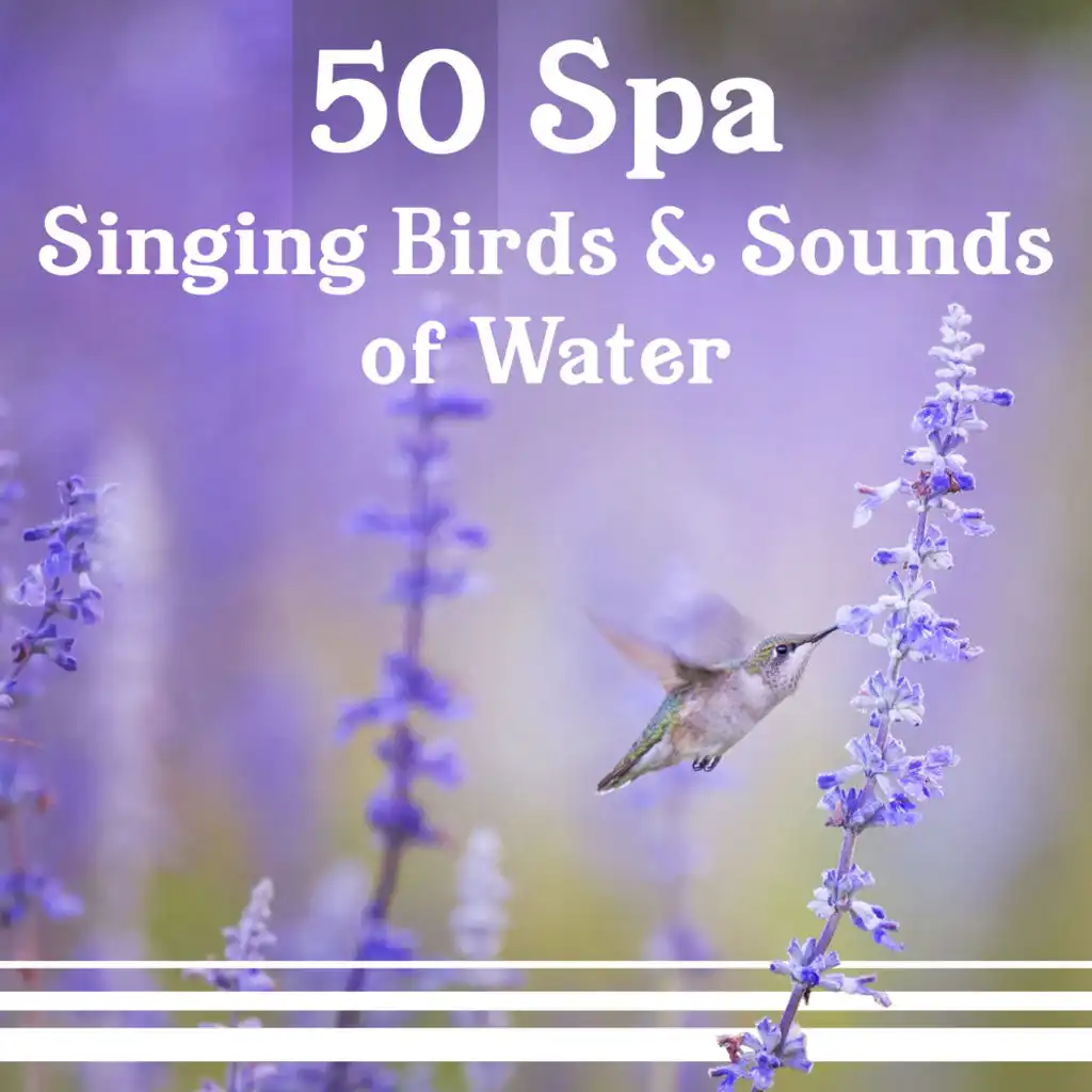 50 Spa: Singing Birds & Sounds of Water – Healing Music for Massage, Wellness, Soothing Rain, Inner Peace