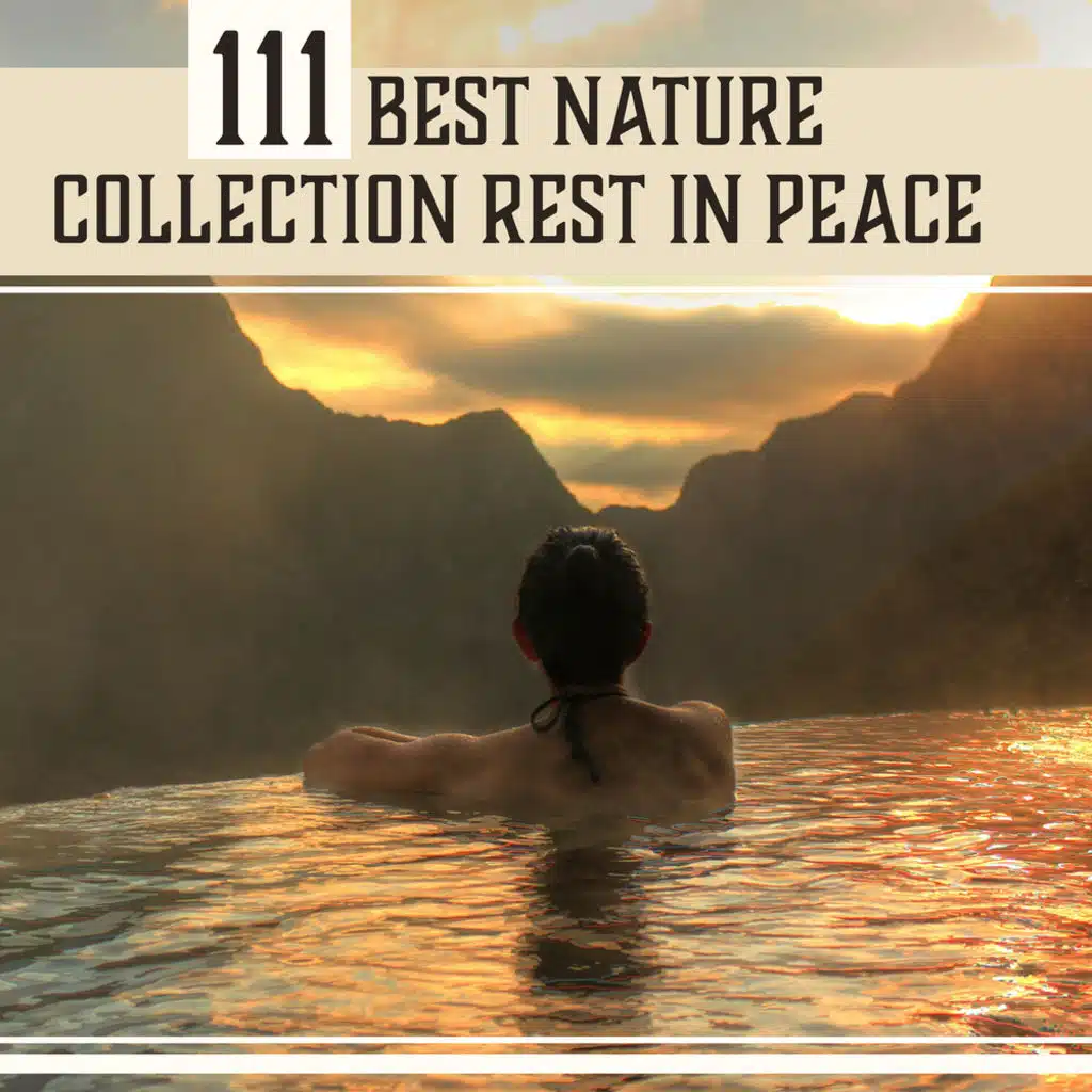 111 Best Nature Collection Rest in Peace