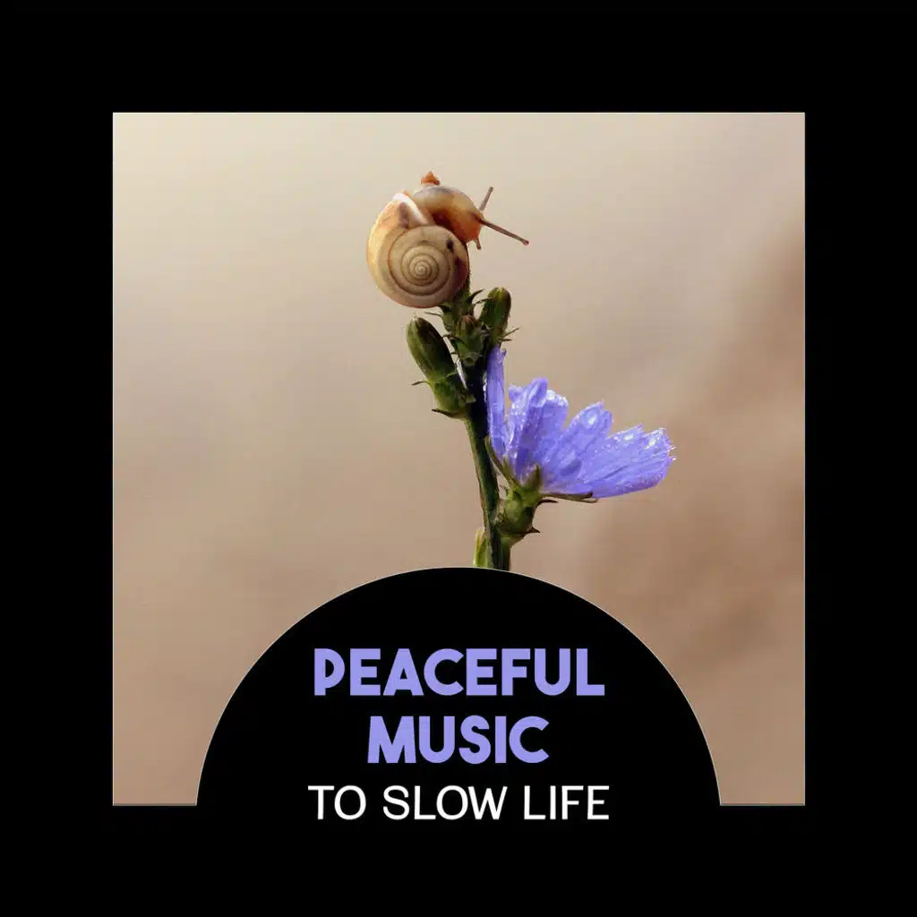 Find Inner Peace