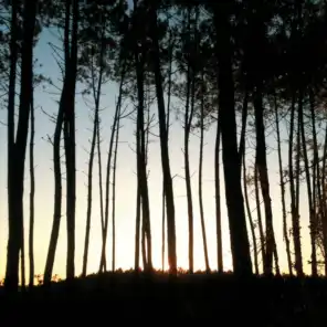 The Way To The Forest (Petite Noir's Noirwave Remix)