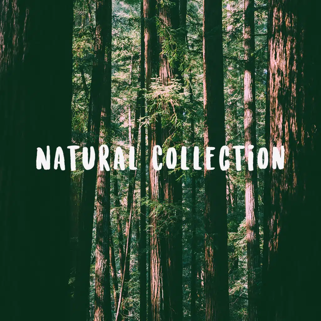 Natural Collection