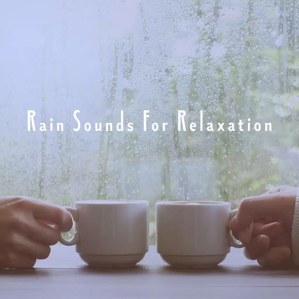 Rain Sound : Forest