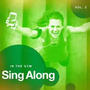 Sing Along in the Gym, Vol. 2