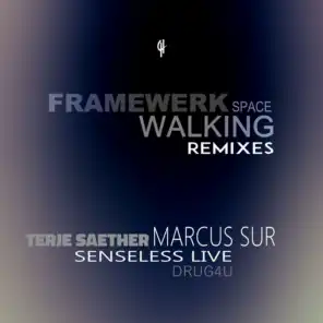 Space Walking (Senseless Live Vocal Remix)