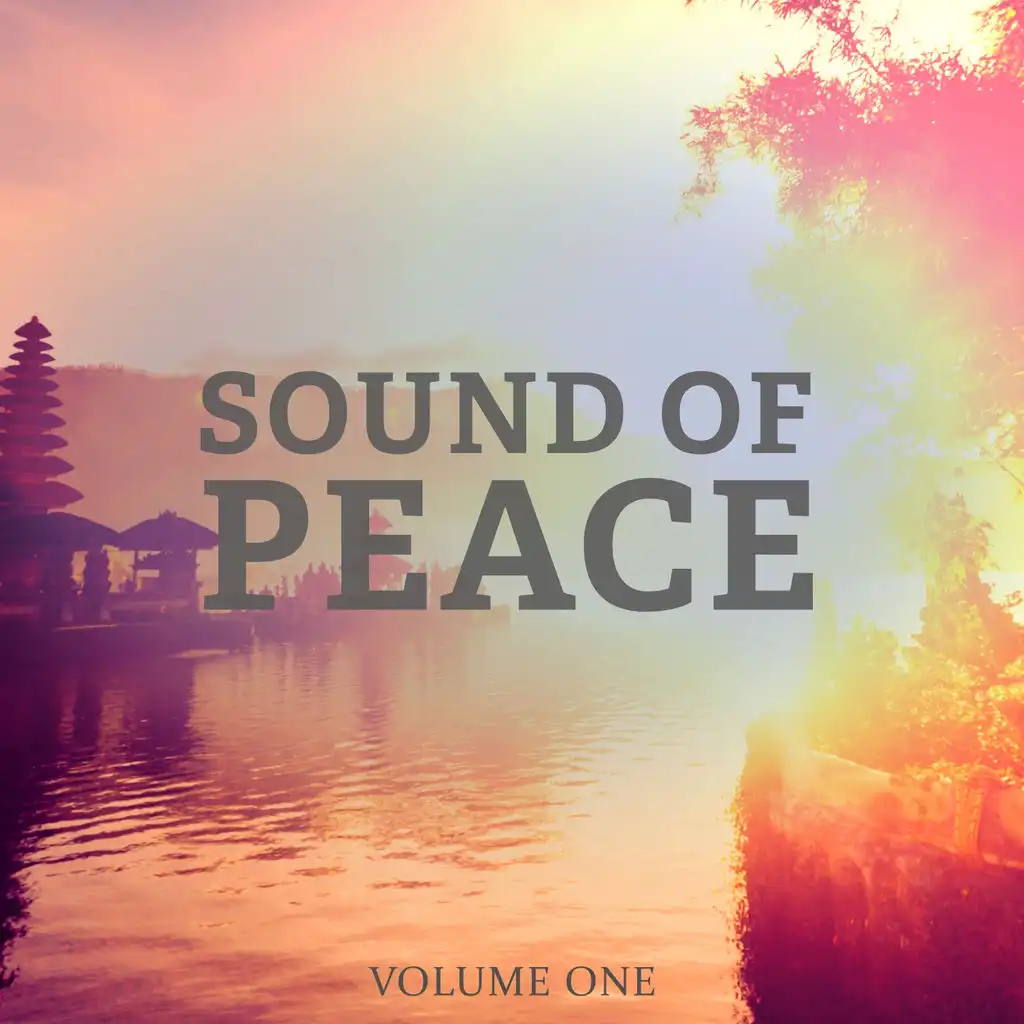 Sound Of Peace, Vol. 1 (Wonderful And Calm Electronic Music)