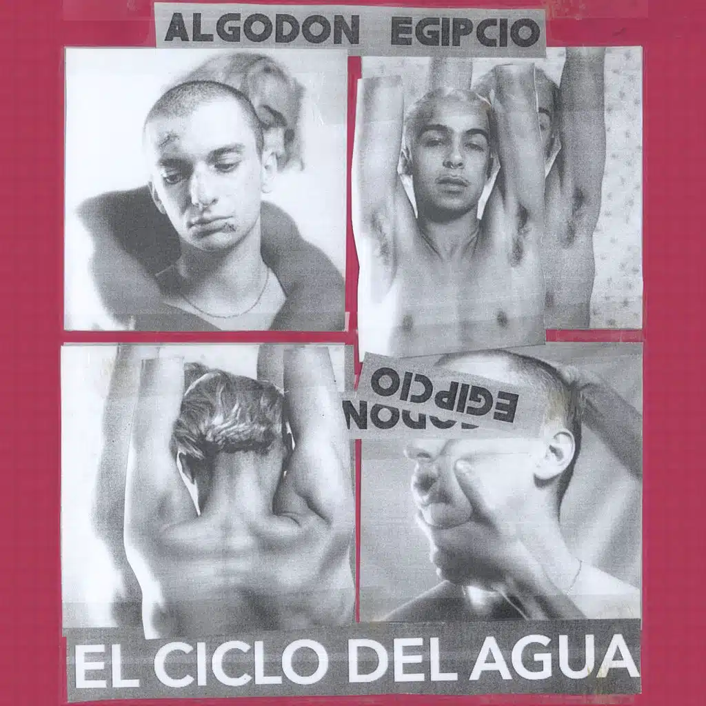 Algodón Egipcio