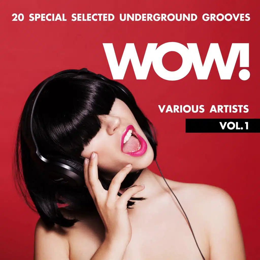 WOW! (20 Special Selected Underground Grooves), Vol. 1