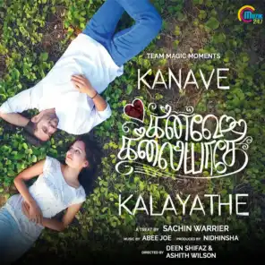 Kanave Kalayathe (From "Kanave Kalayathe")