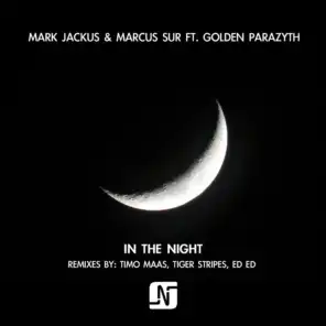 In the Night (ED ED Remix) [ft. Golden Parazyth]