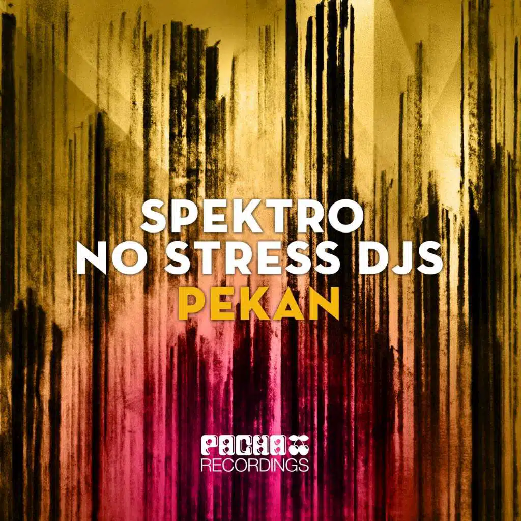 No Stress DJ's