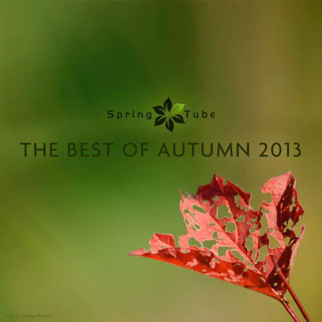 The Best of Autumn 2013
