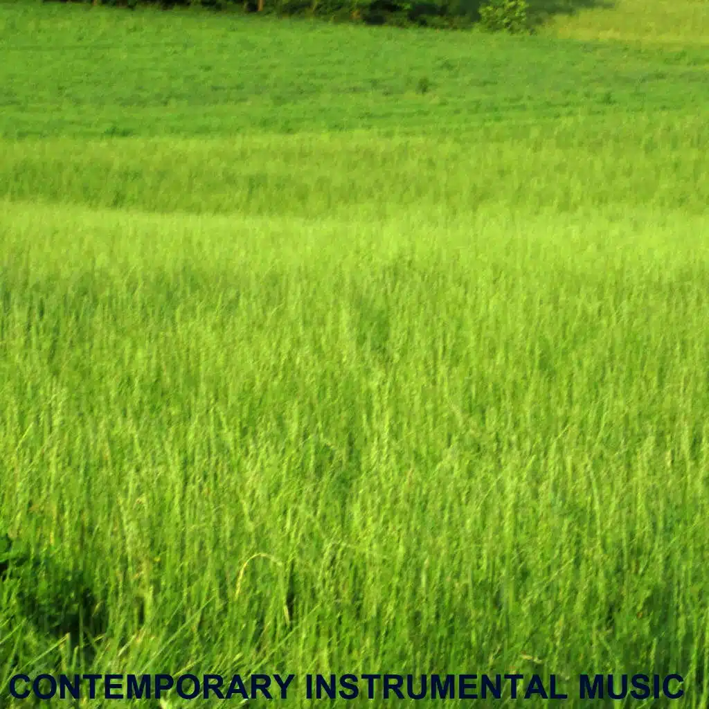 Contemporary Instrumental Music