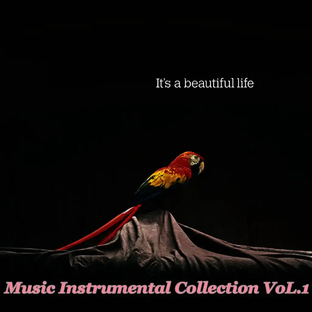 Music Instrumental Collection VoL.1