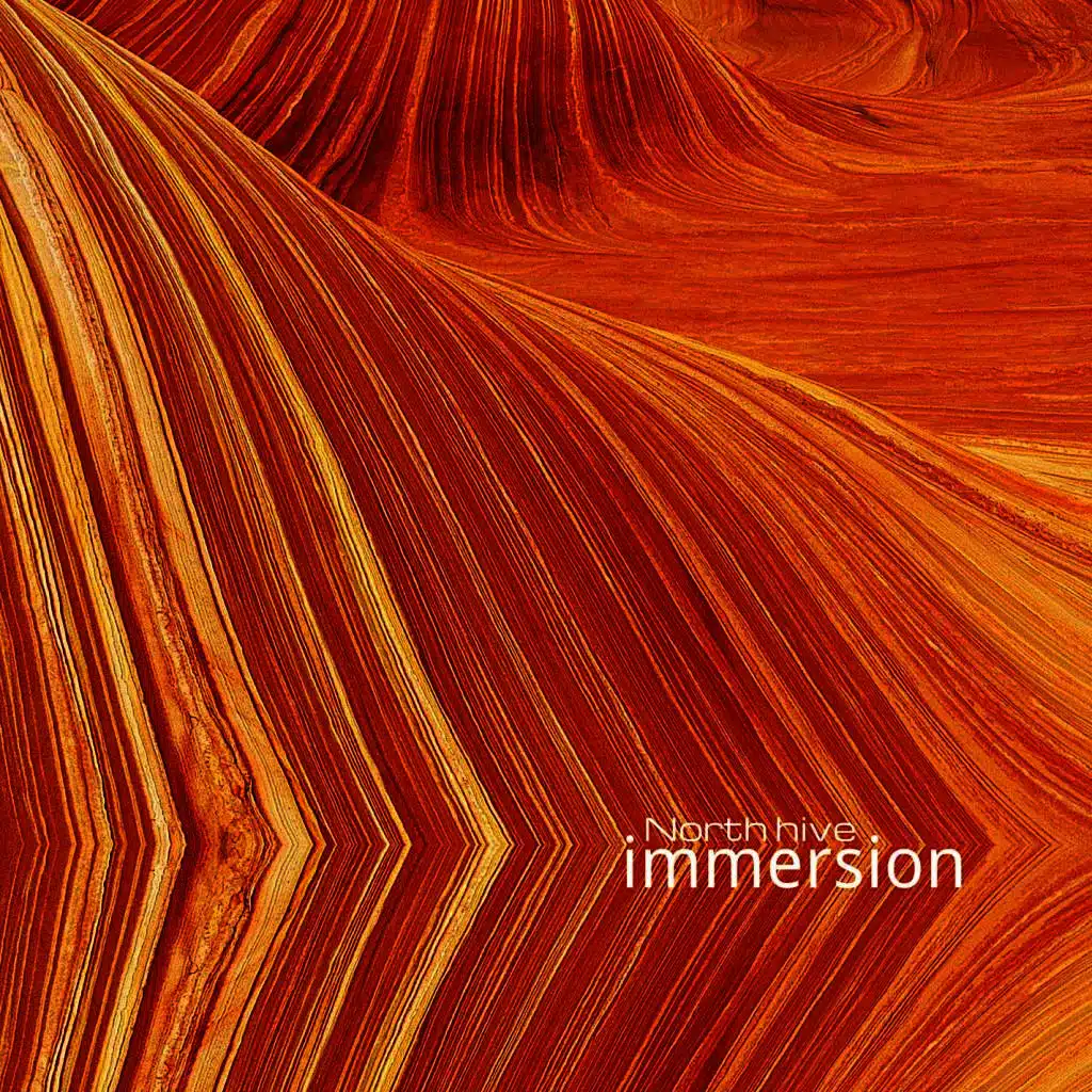 Immersion