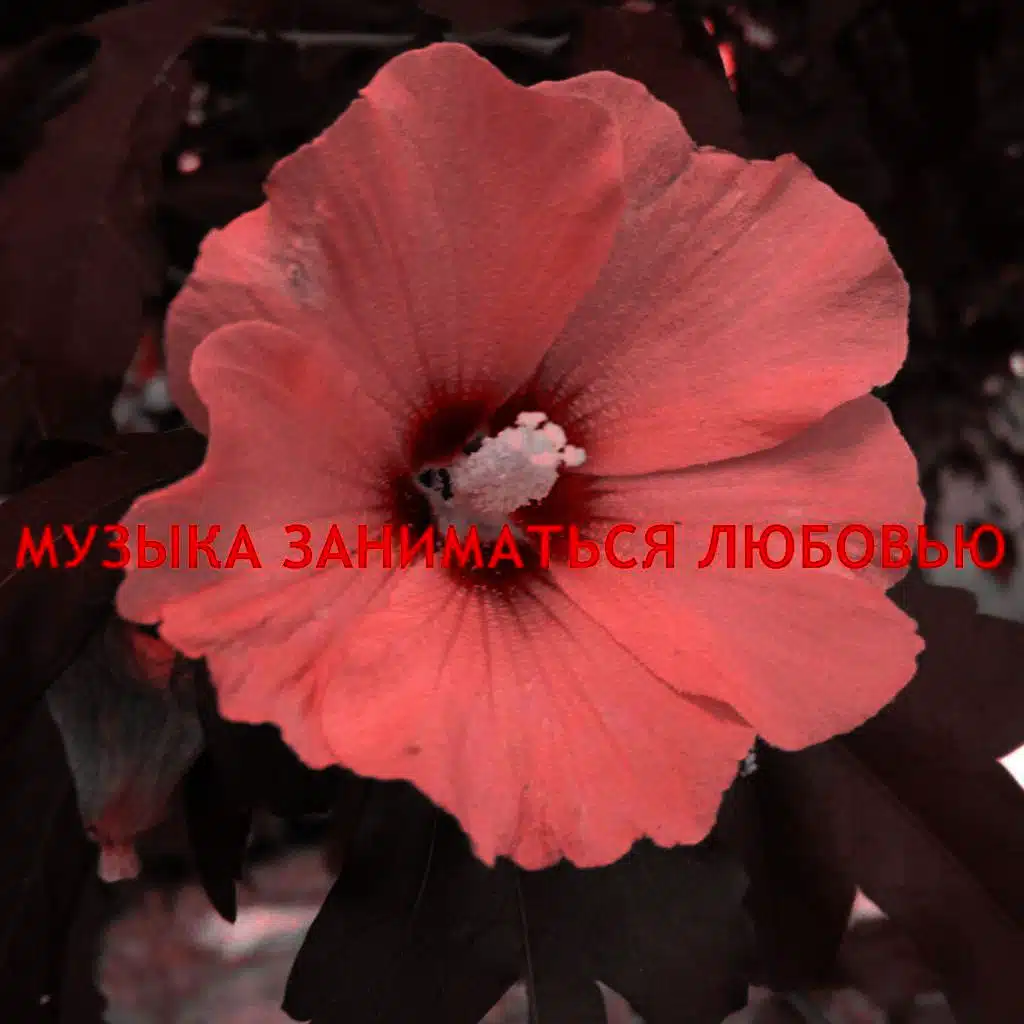 Музыка Заниматься Любовью