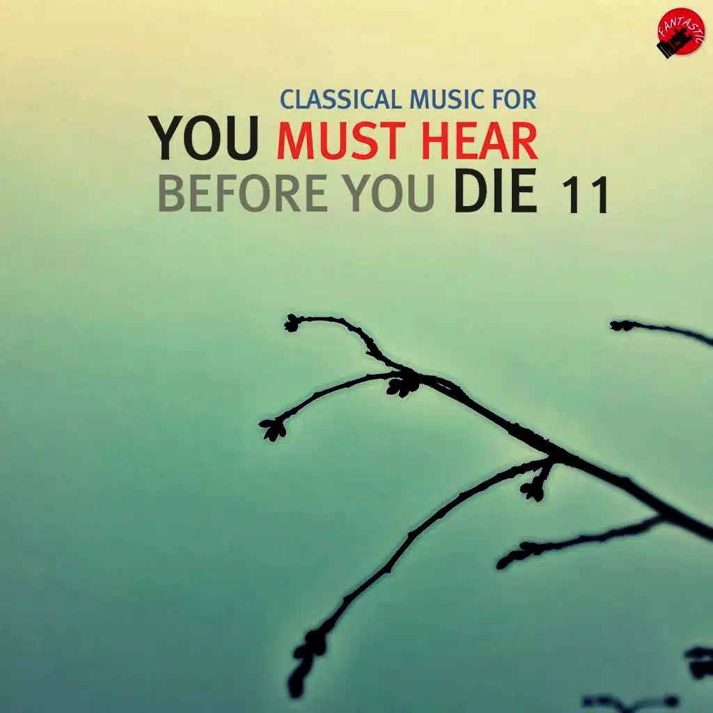 Classical music for You Must Hear Before You Die 11