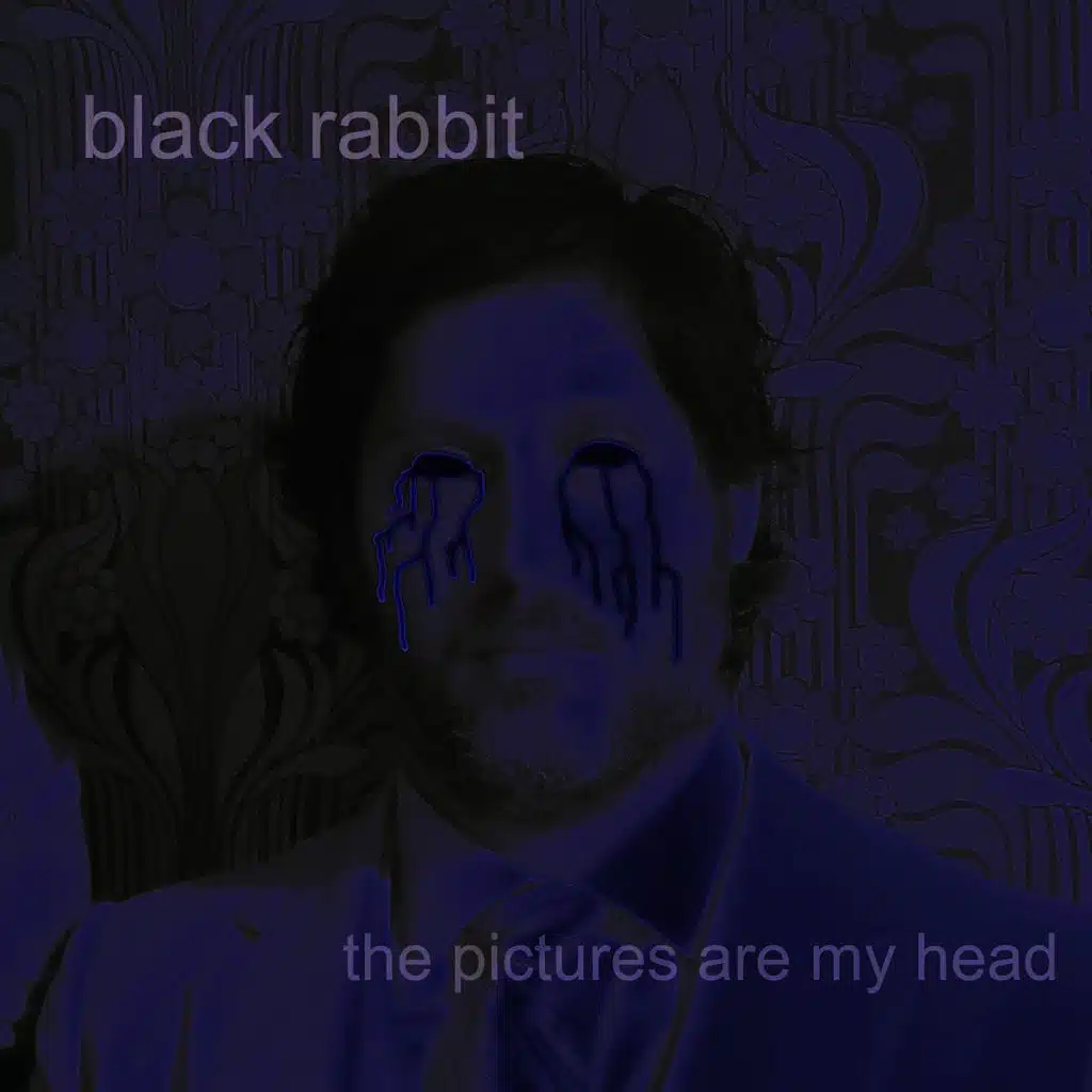 the pictures are my head